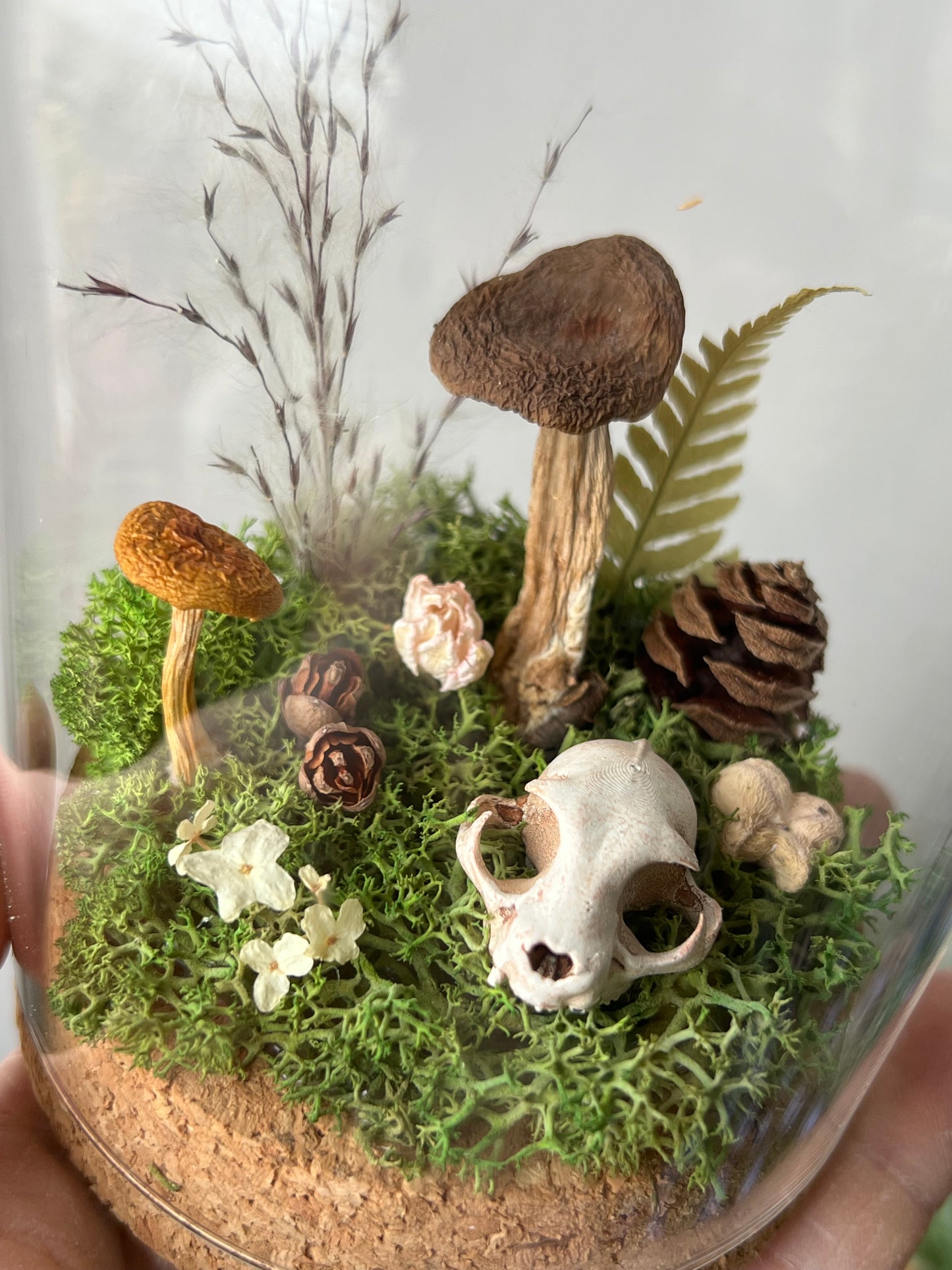 Miniaturwelt mit Katzenschädel und Pilzen