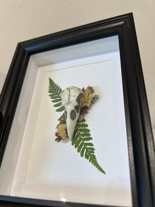 Bilderrahmen mit Vogelschädel aus Kunstharz