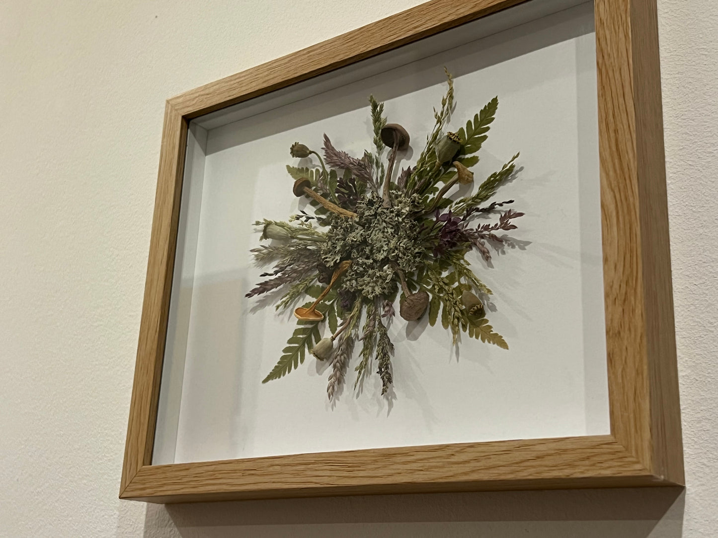 Pilzsymphonie im Bilderrahmen