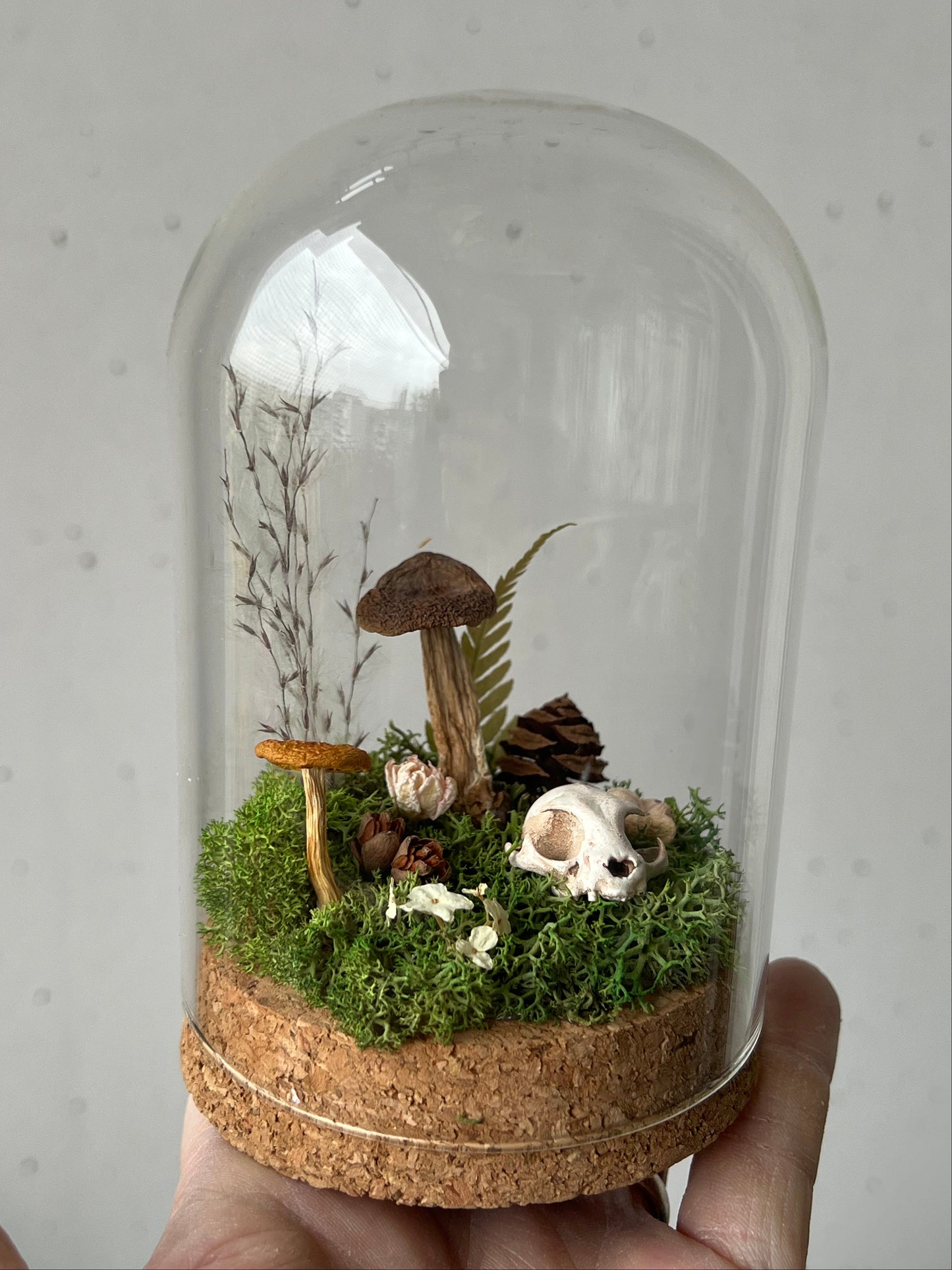 Miniaturwelt mit Katzenschädel und Pilzen