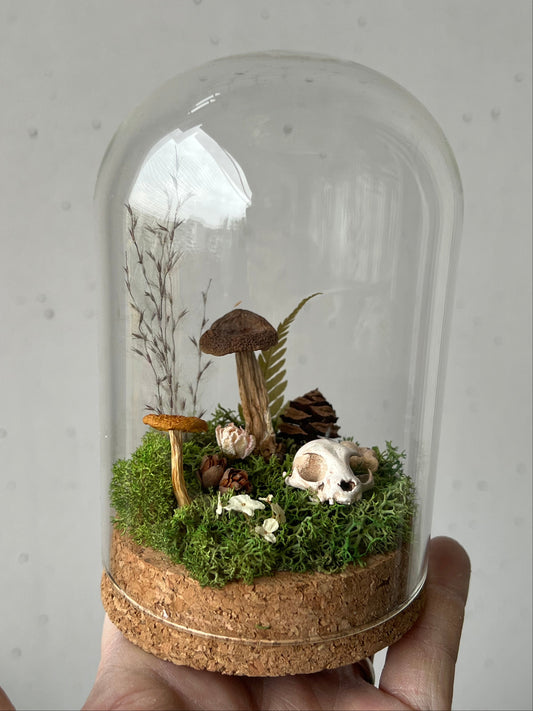Miniaturwelt mit Katzenschädel und Pilzen