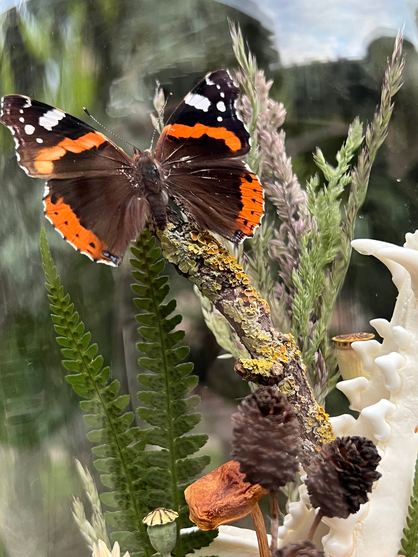 Diorama mit Fuchskiefer, Schmetterling & Achat Geode