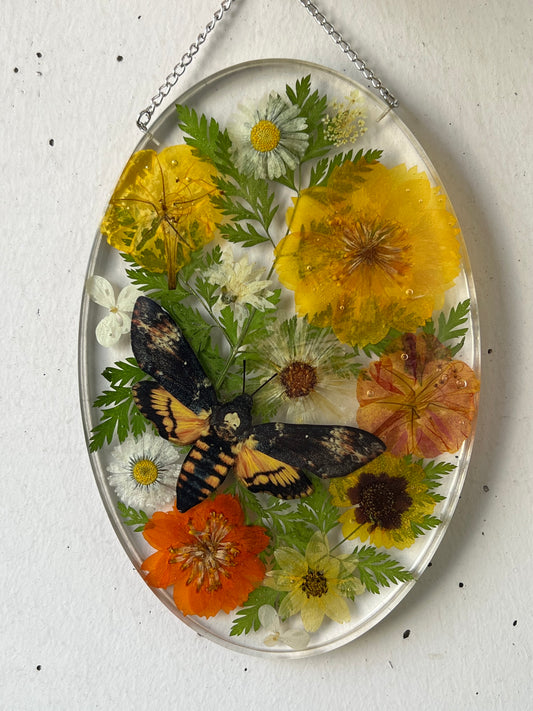 Wandbild mit Blumen und Totenkopfmotte aus Papier