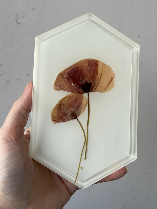 Schmuckschale mit Mohnblumen