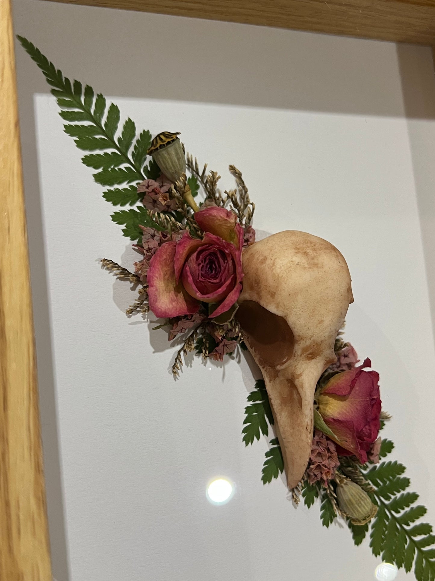 Rabenschädel mit Rosen Blumen und Samen in Bilderrahmen