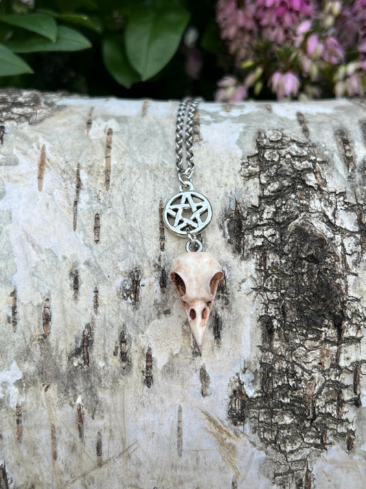 Vogelschädel Halskette mit Pentagramm Silber