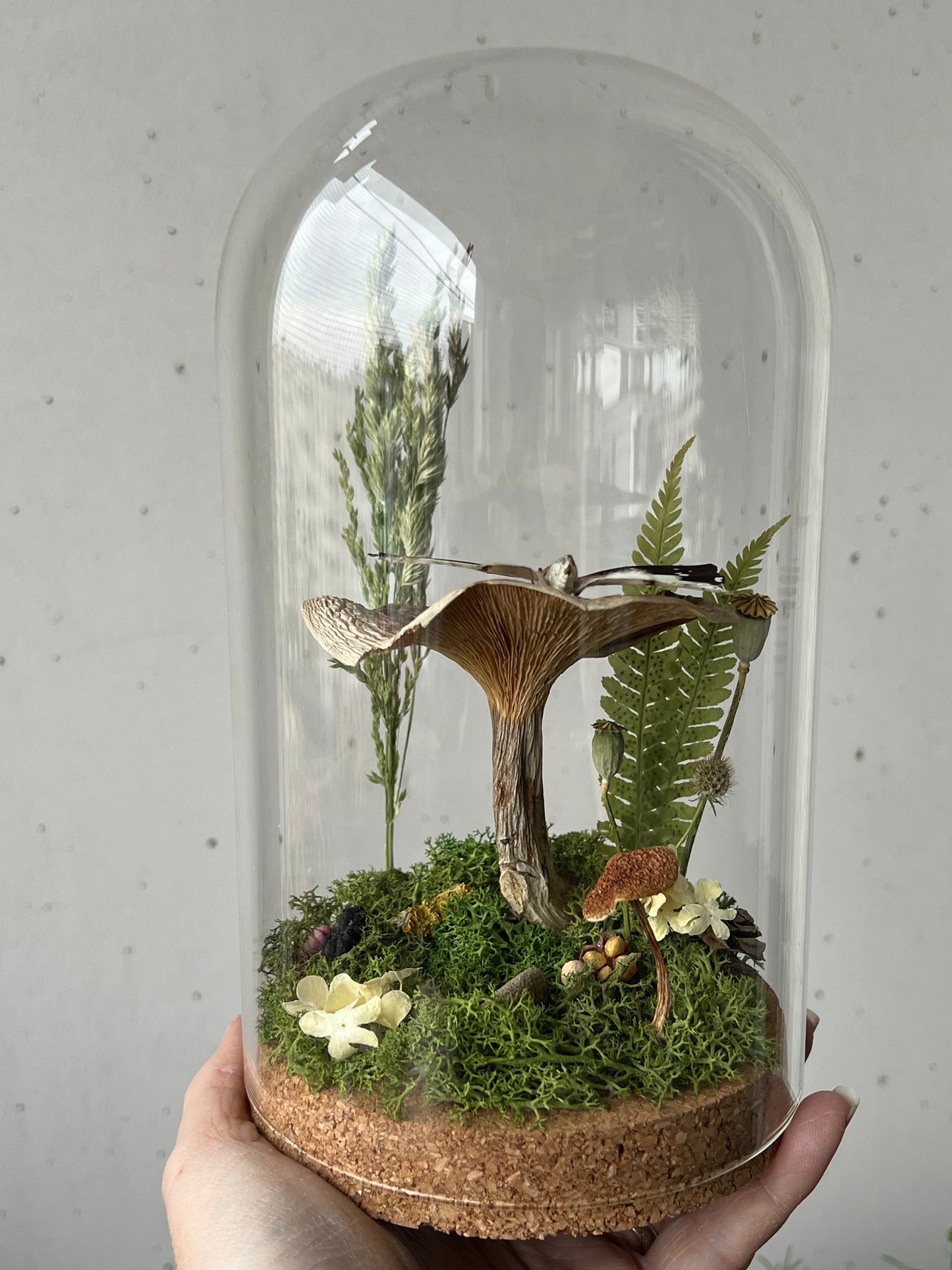 Diorama mit Schmetterling auf Pilz