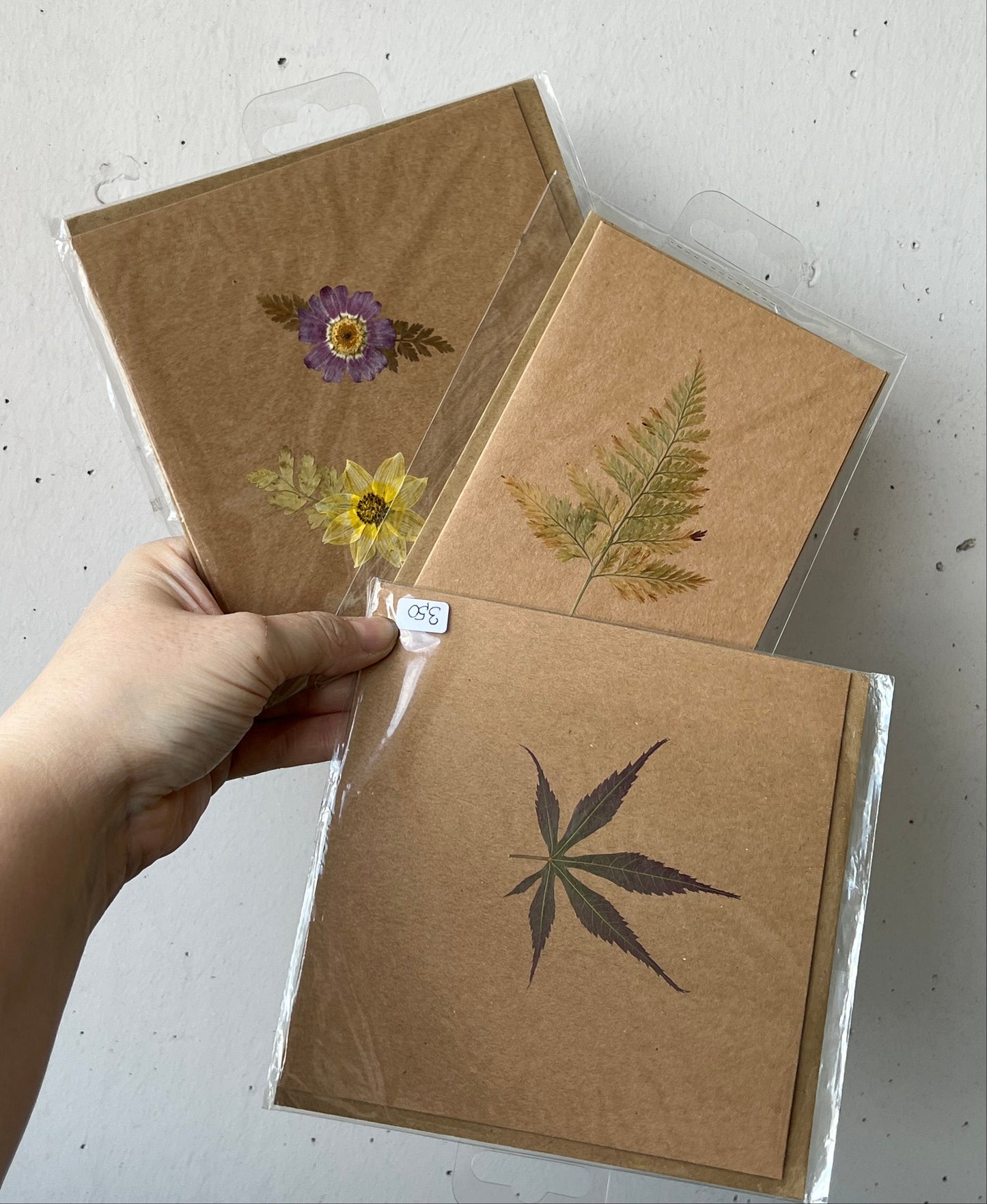 Grußkarten mit Pflanzen und Blumen