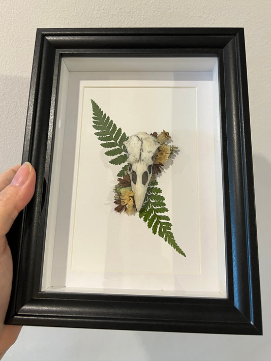 Bilderrahmen mit Vogelschädel aus Kunstharz