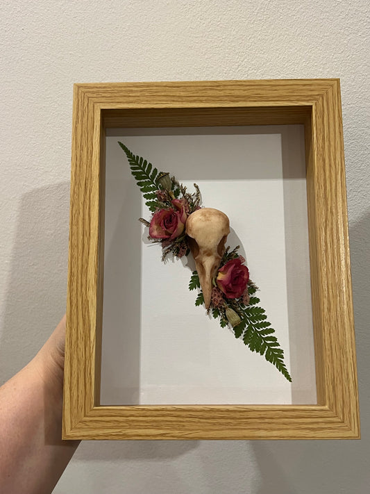 Rabenschädel mit Rosen Blumen und Samen in Bilderrahmen