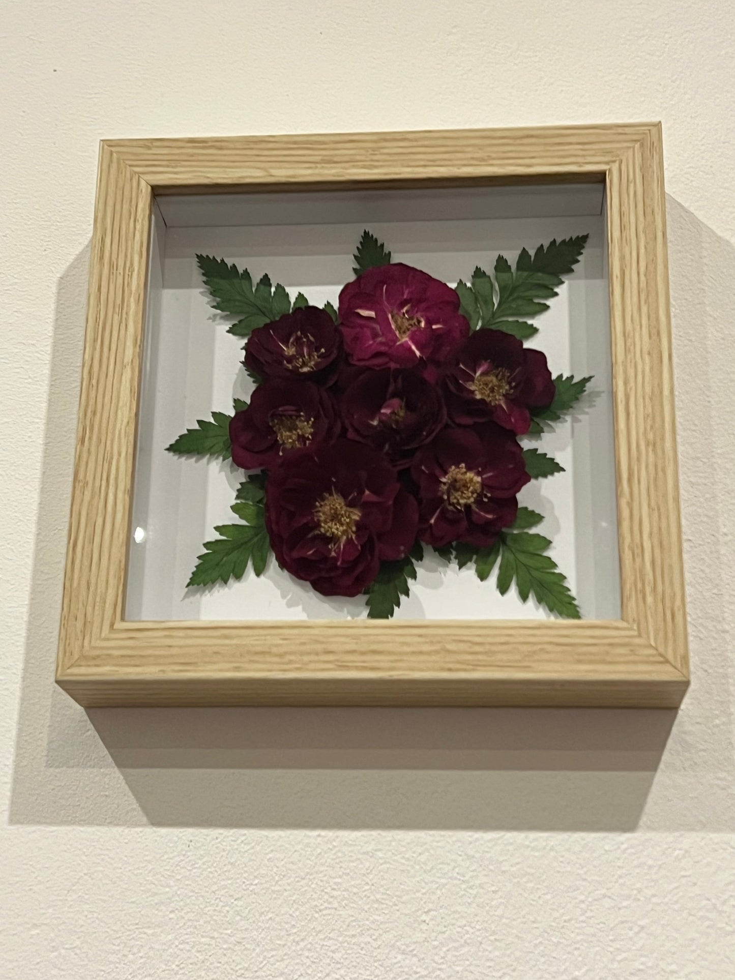Rosen und Farn in Bilderrahmen