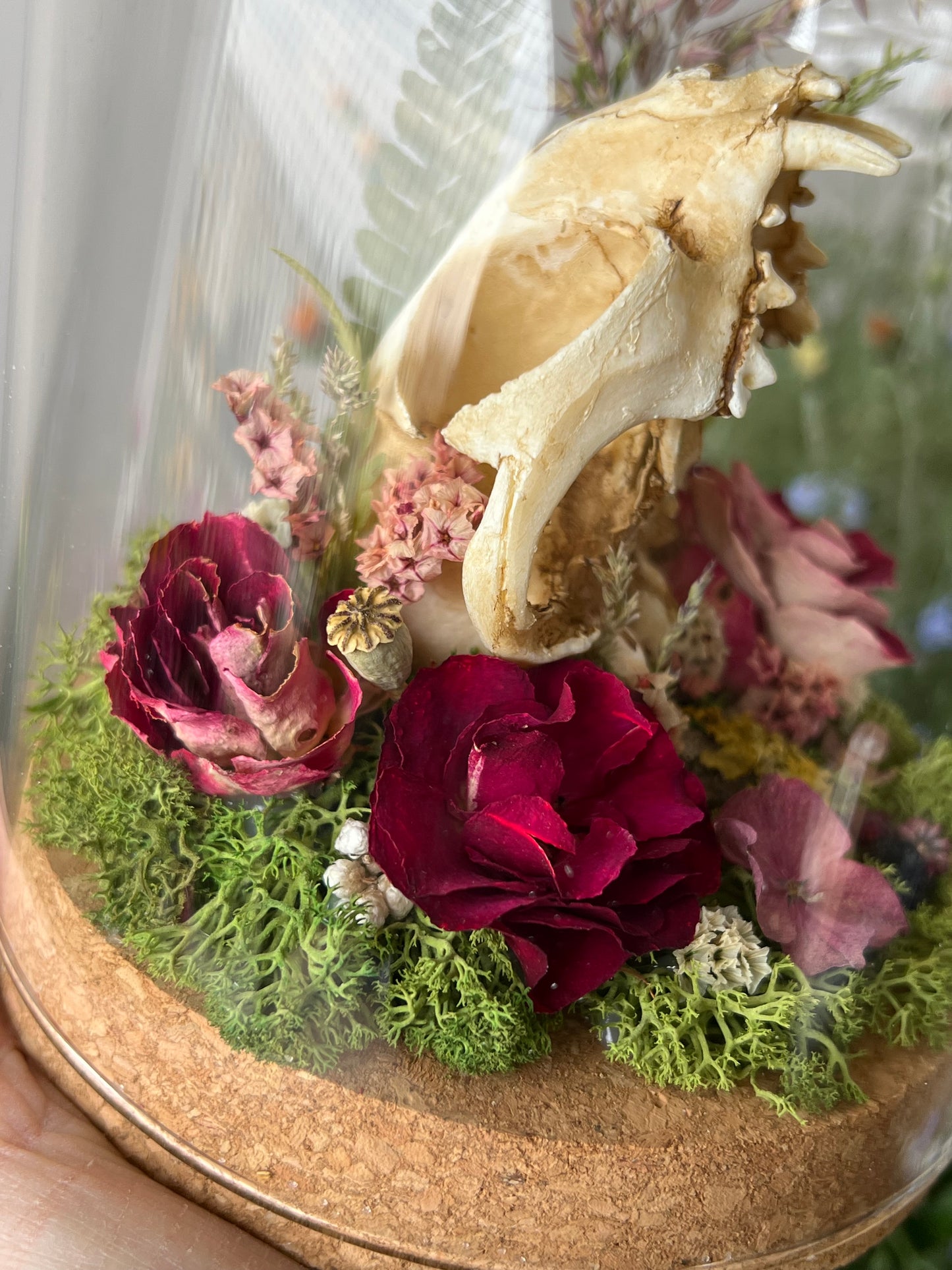 Diorama mit Katzenskull Replikation, Rosen & Blumen