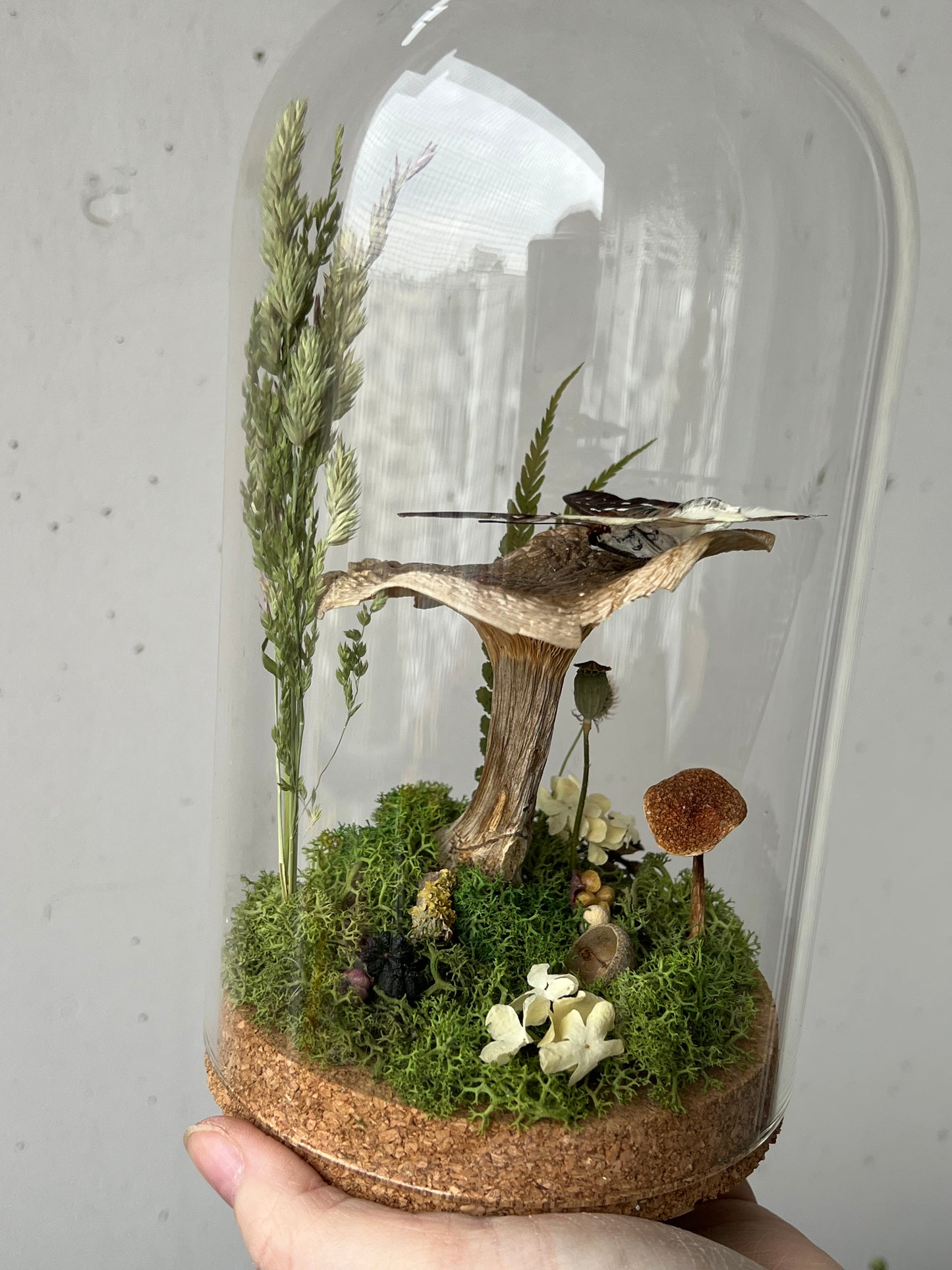 Diorama mit Schmetterling auf Pilz