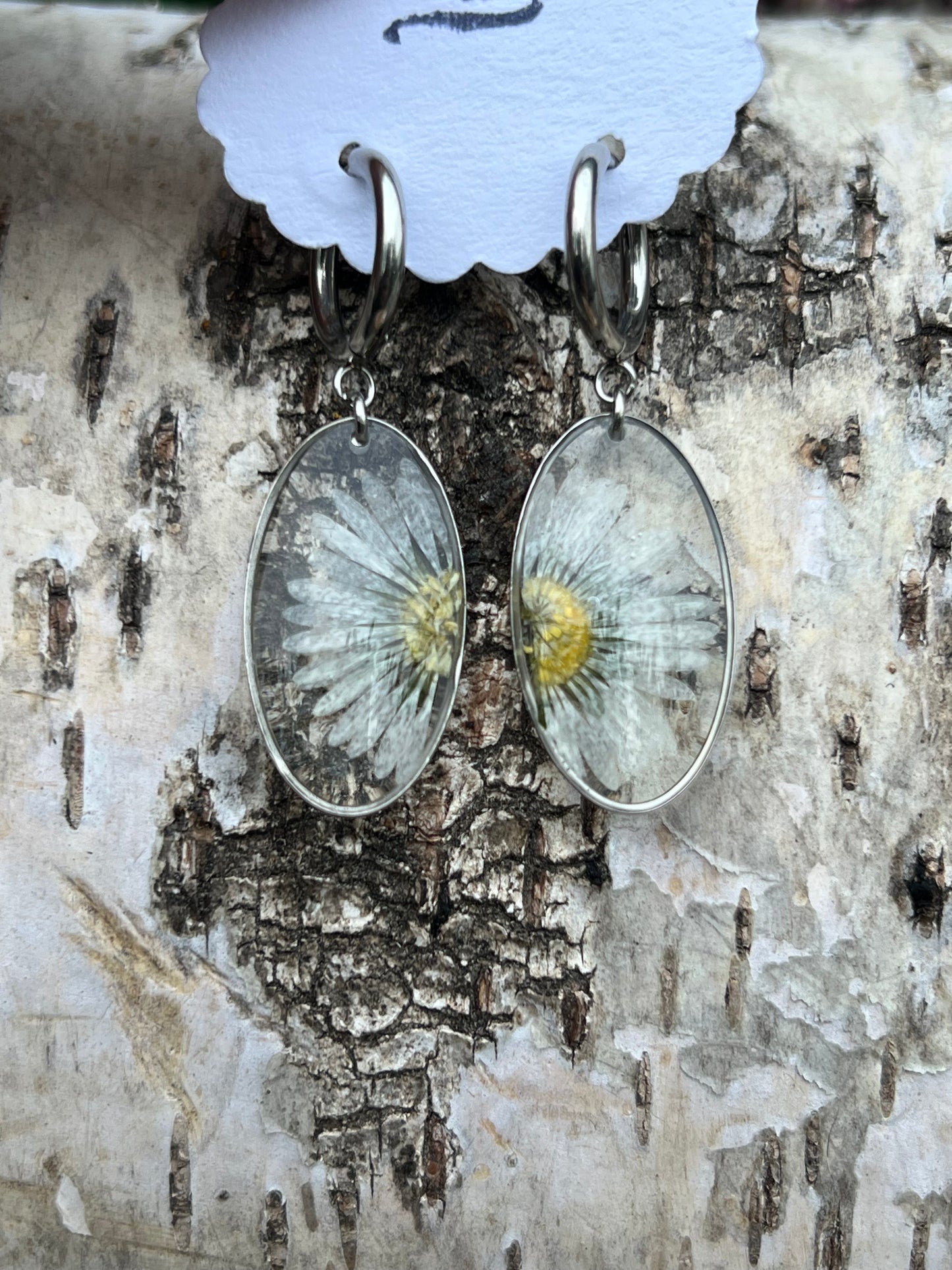 Gänseblümchen Ohrringe Oval Silber