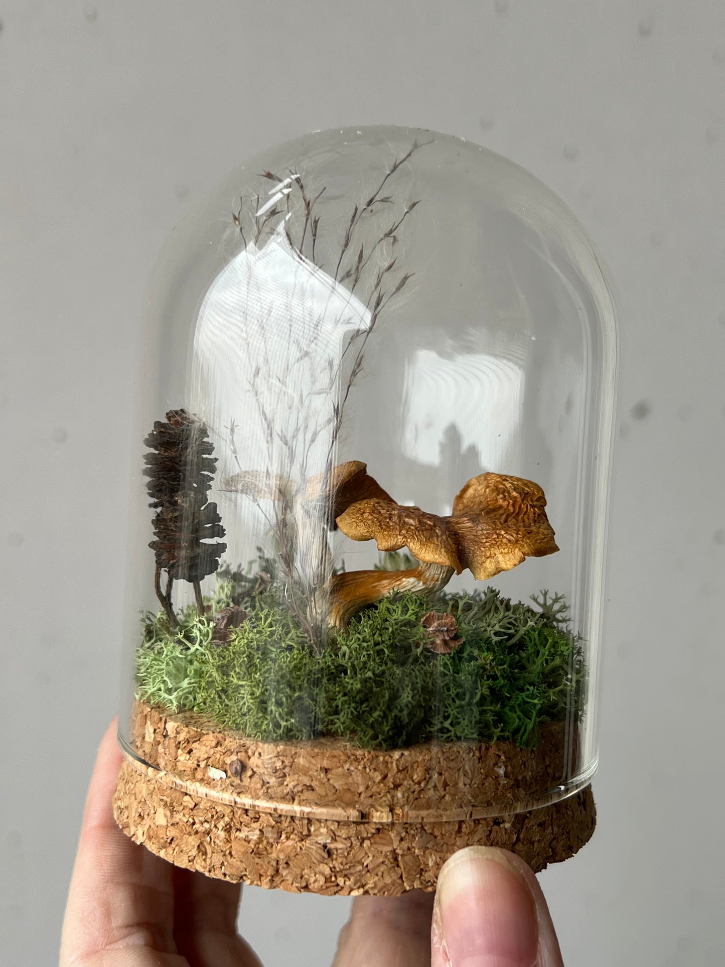 Miniaturwelt mit Flämmling Pilze