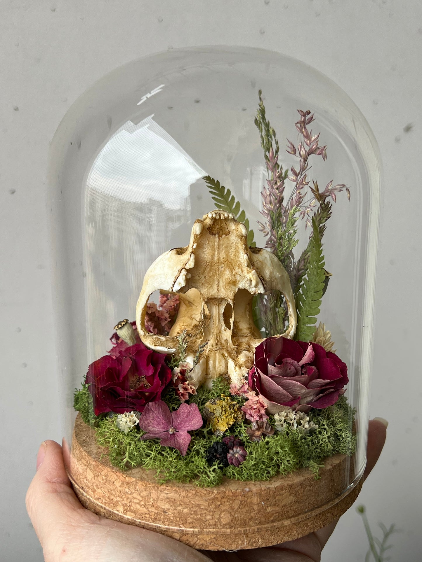 Diorama mit Katzenskull Replikation, Rosen & Blumen