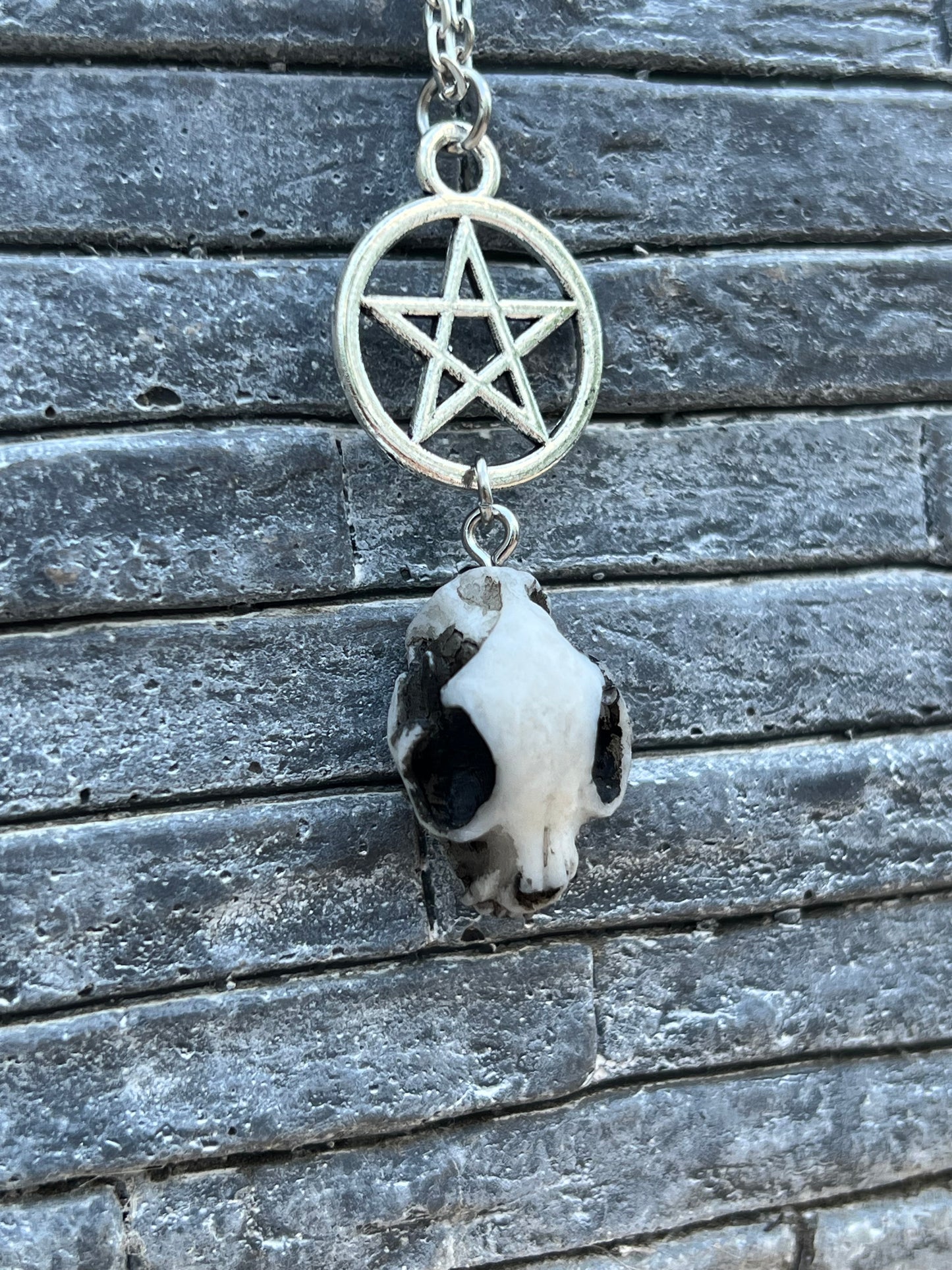 Katzenschädel Halskette Silber