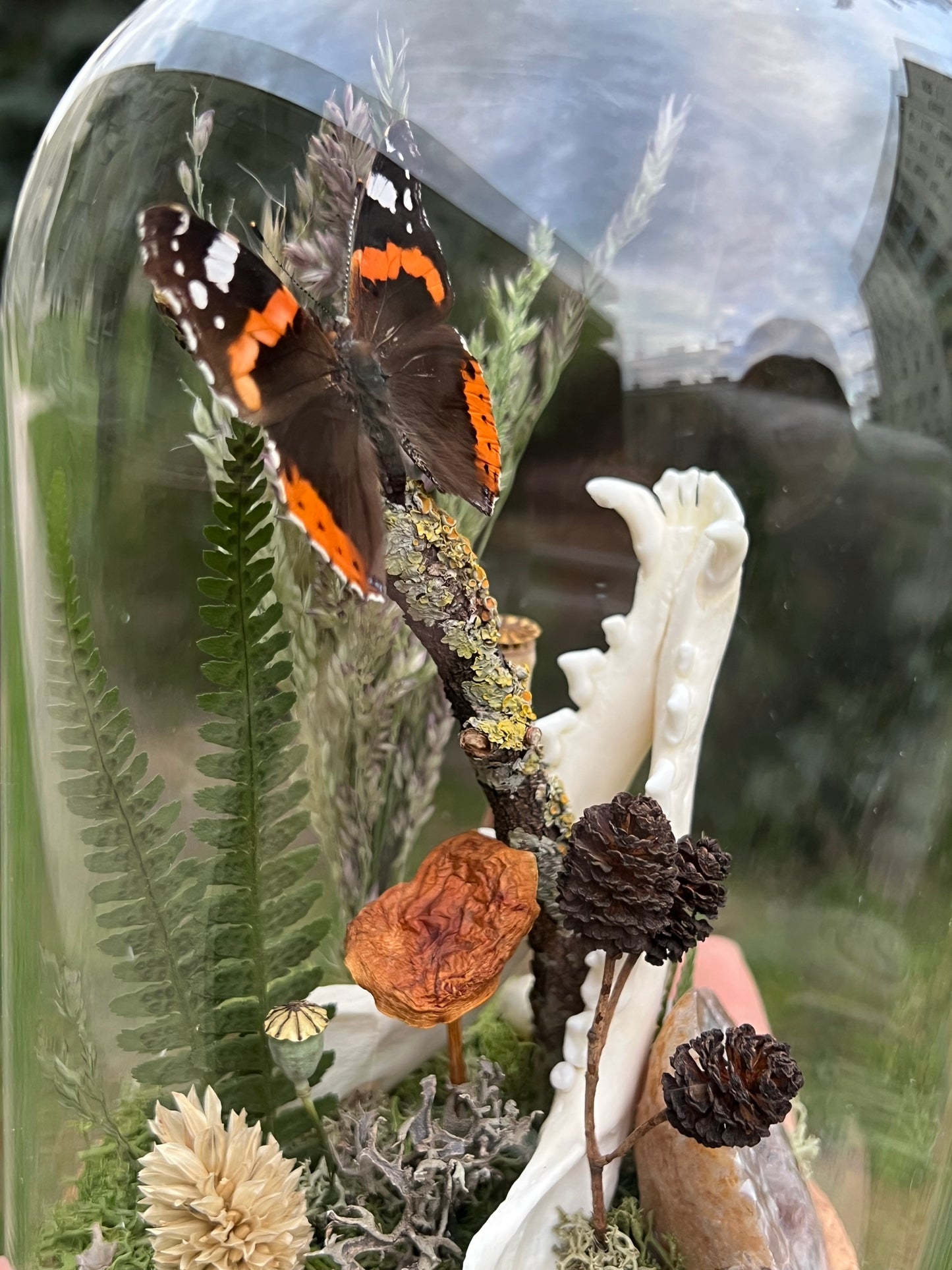 Diorama mit Fuchskiefer, Schmetterling & Achat Geode