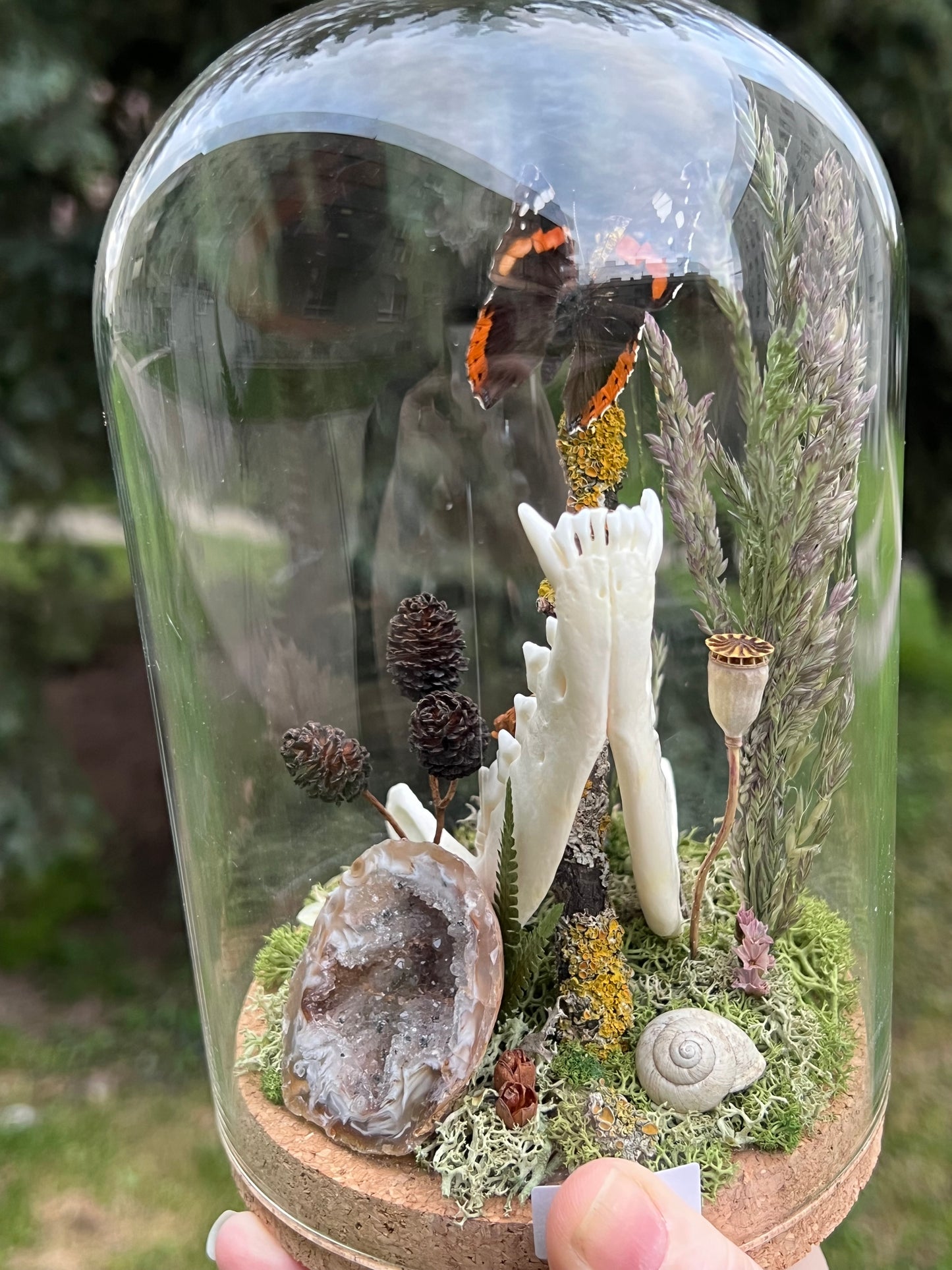 Diorama mit Fuchskiefer, Schmetterling & Achat Geode