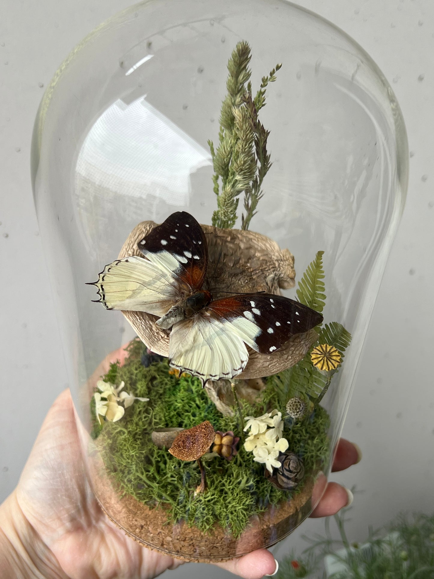Diorama mit Schmetterling auf Pilz