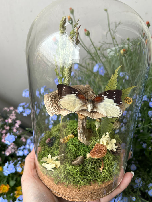 Diorama mit Schmetterling auf Pilz