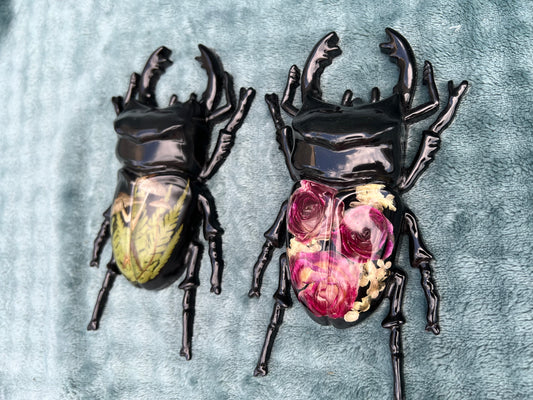 Hirschkäfer Wanddeko mit echten Pilzen und Rosen
