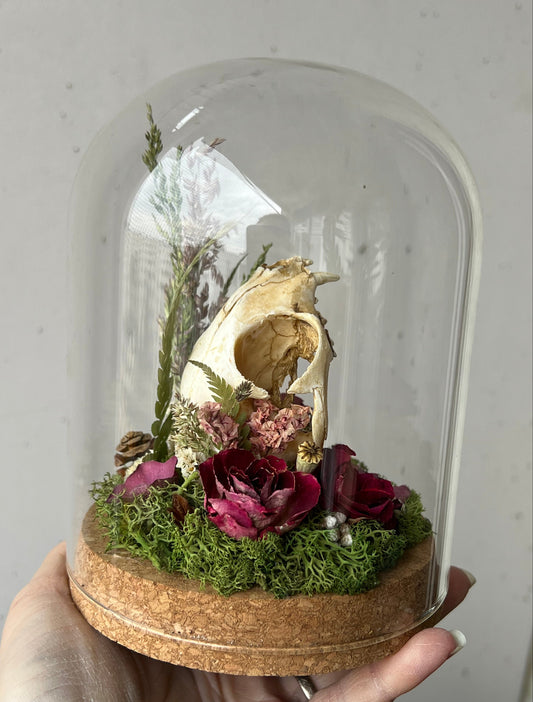 Diorama mit Katzenskull Replikation, Rosen & Blumen