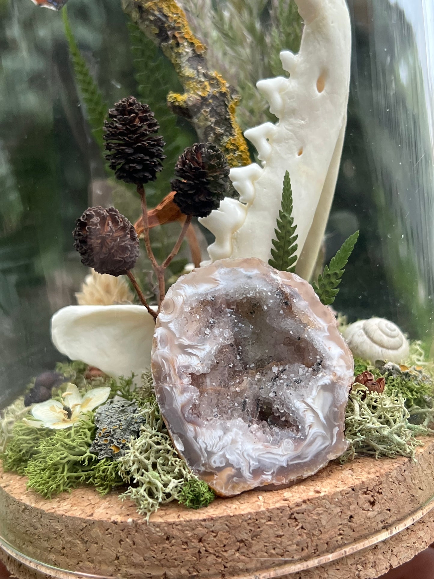 Diorama mit Fuchskiefer, Schmetterling & Achat Geode