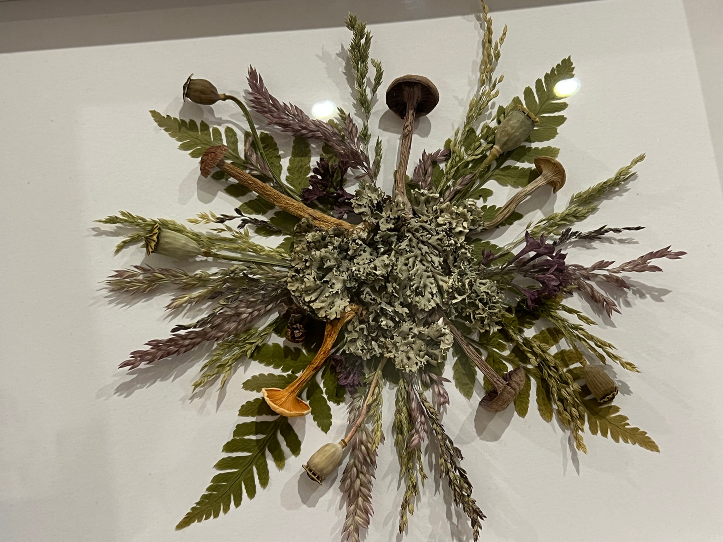 Pilzsymphonie im Bilderrahmen