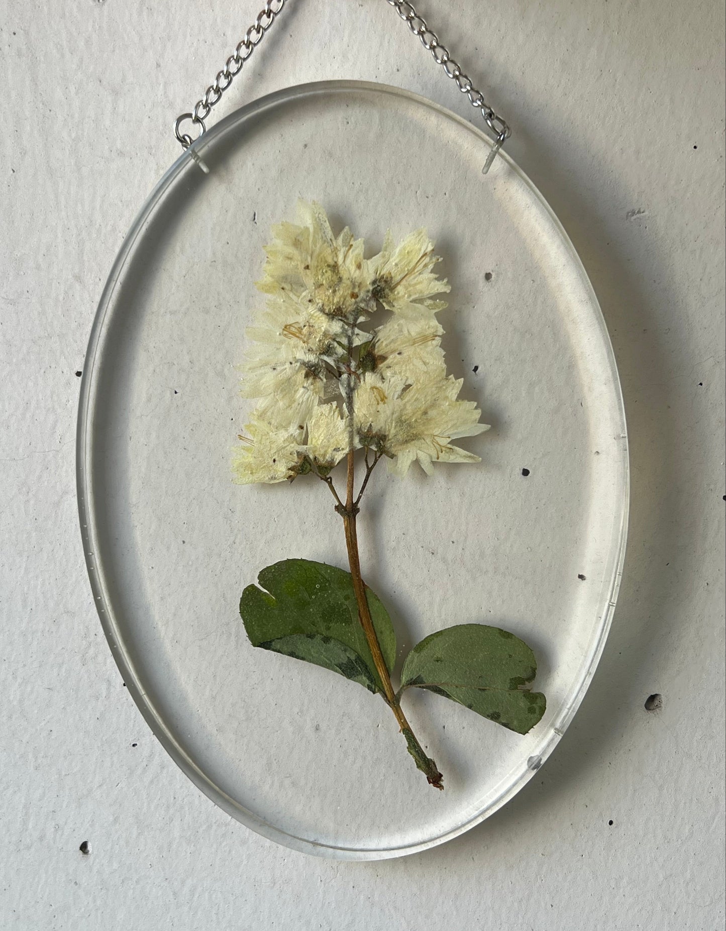 Wandbild mit Wildblume