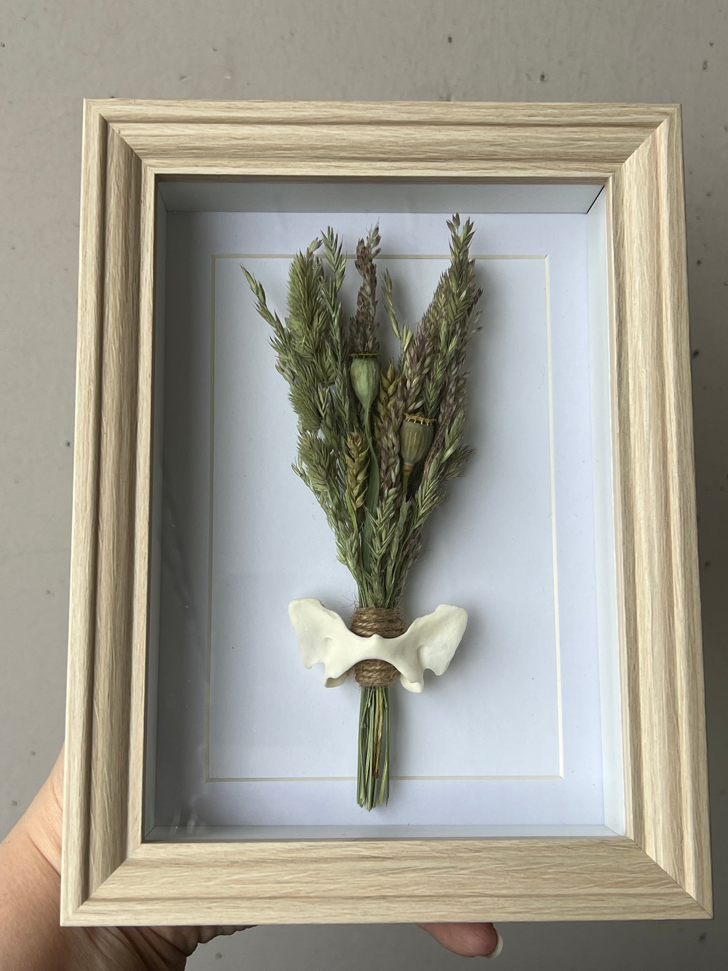 Bilderrahmen mit Fuchswirbel, Gräser und Mohnkapseln