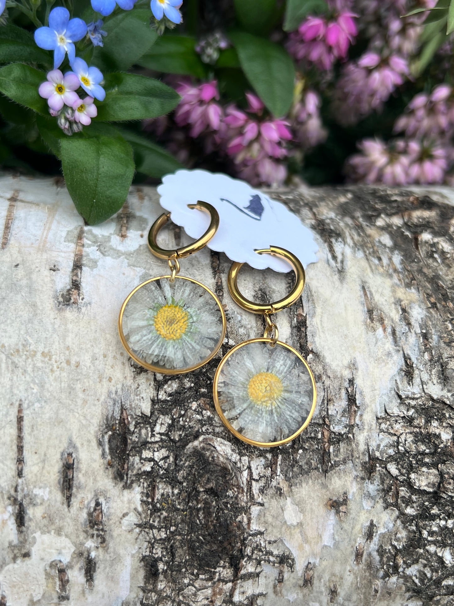 Gänseblümchen Ohrringe Gold