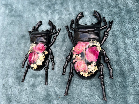 Hirschkäfer mit Rosen und Schneeballblüten