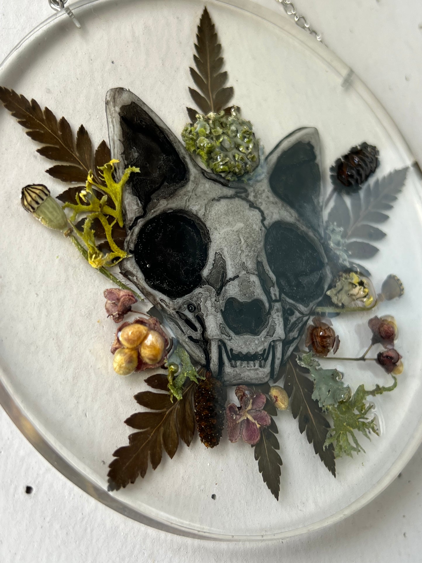 Wandbild mit Katzenschädel aus Harz, Beeren & Co.