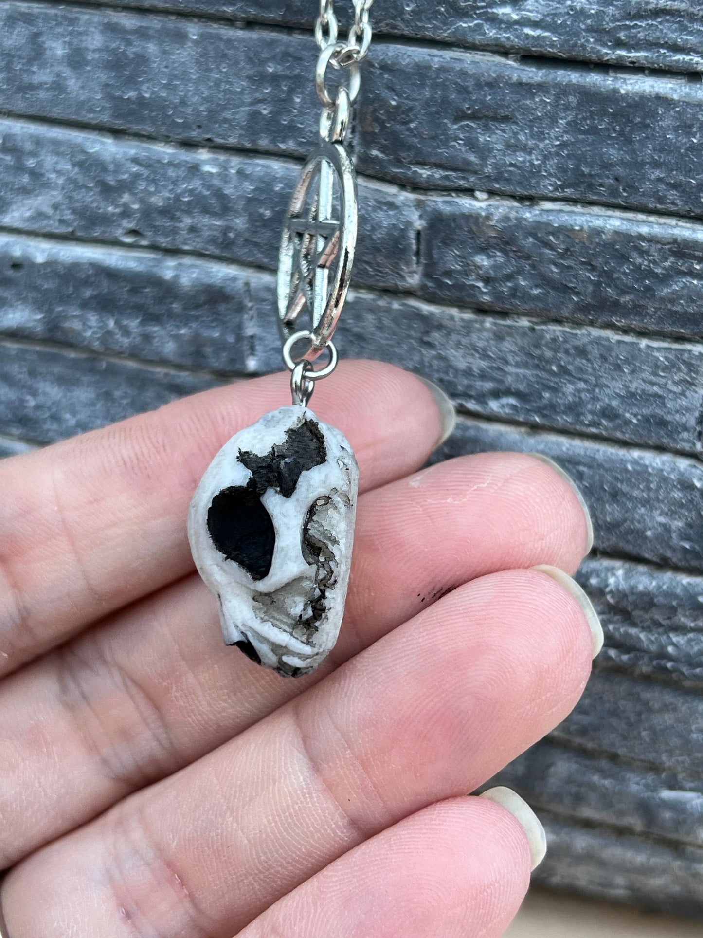 Katzenschädel Halskette Silber