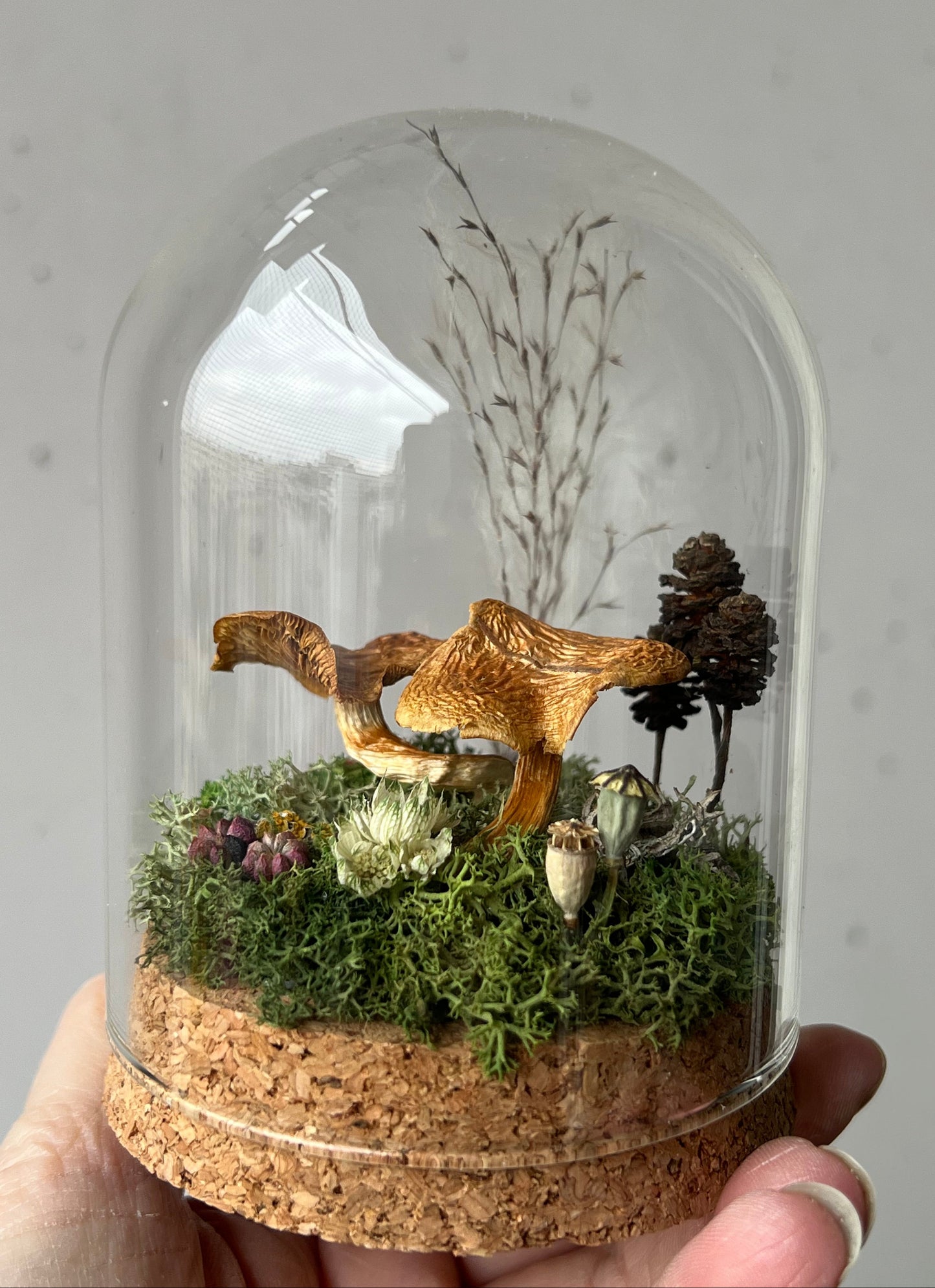Miniaturwelt mit Flämmling Pilze