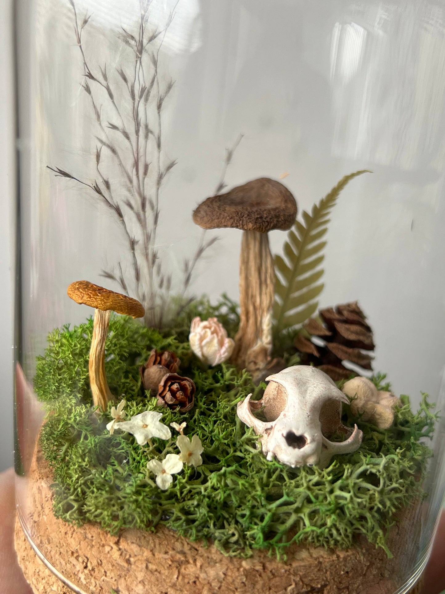 Miniaturwelt mit Katzenschädel und Pilzen