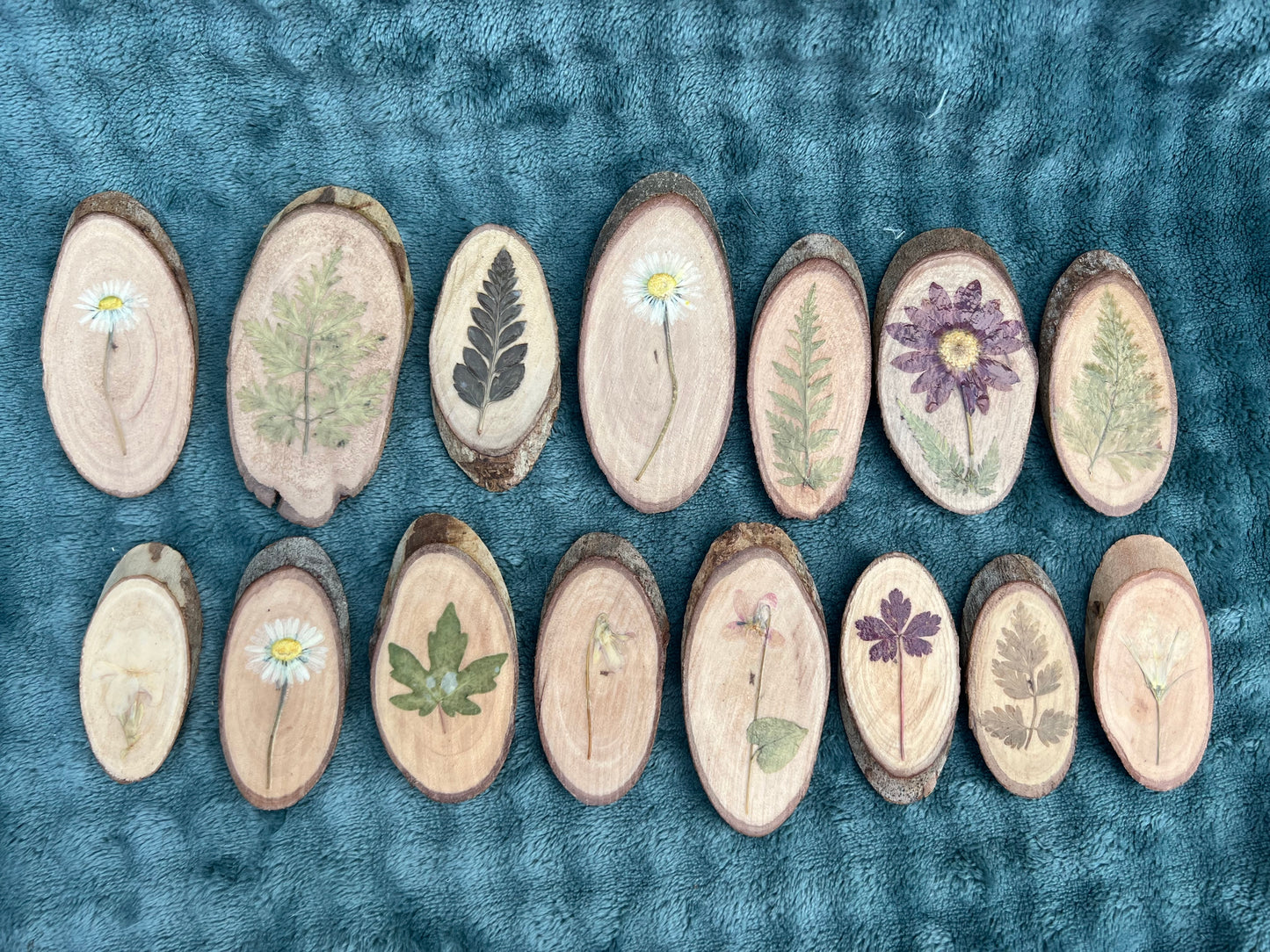 Kleine Baumscheiben mit echten Blüten/Pflanzen