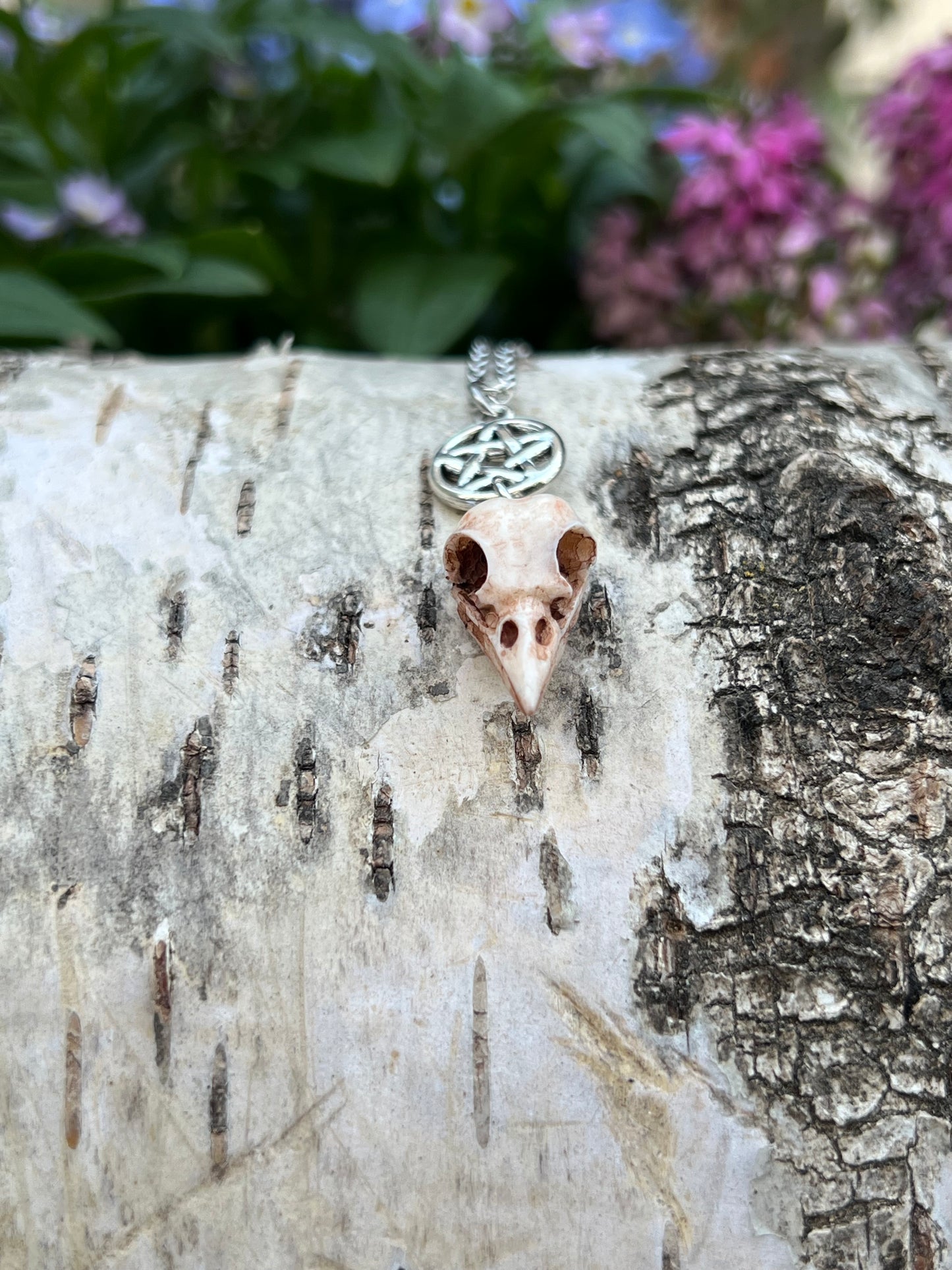 Vogelschädel Halskette mit Pentagramm Silber
