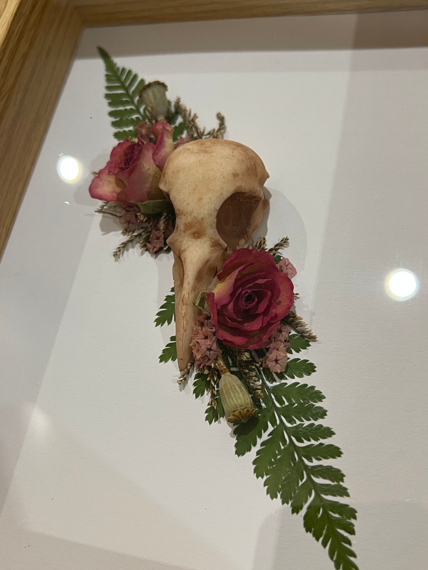 Rabenschädel mit Rosen Blumen und Samen in Bilderrahmen
