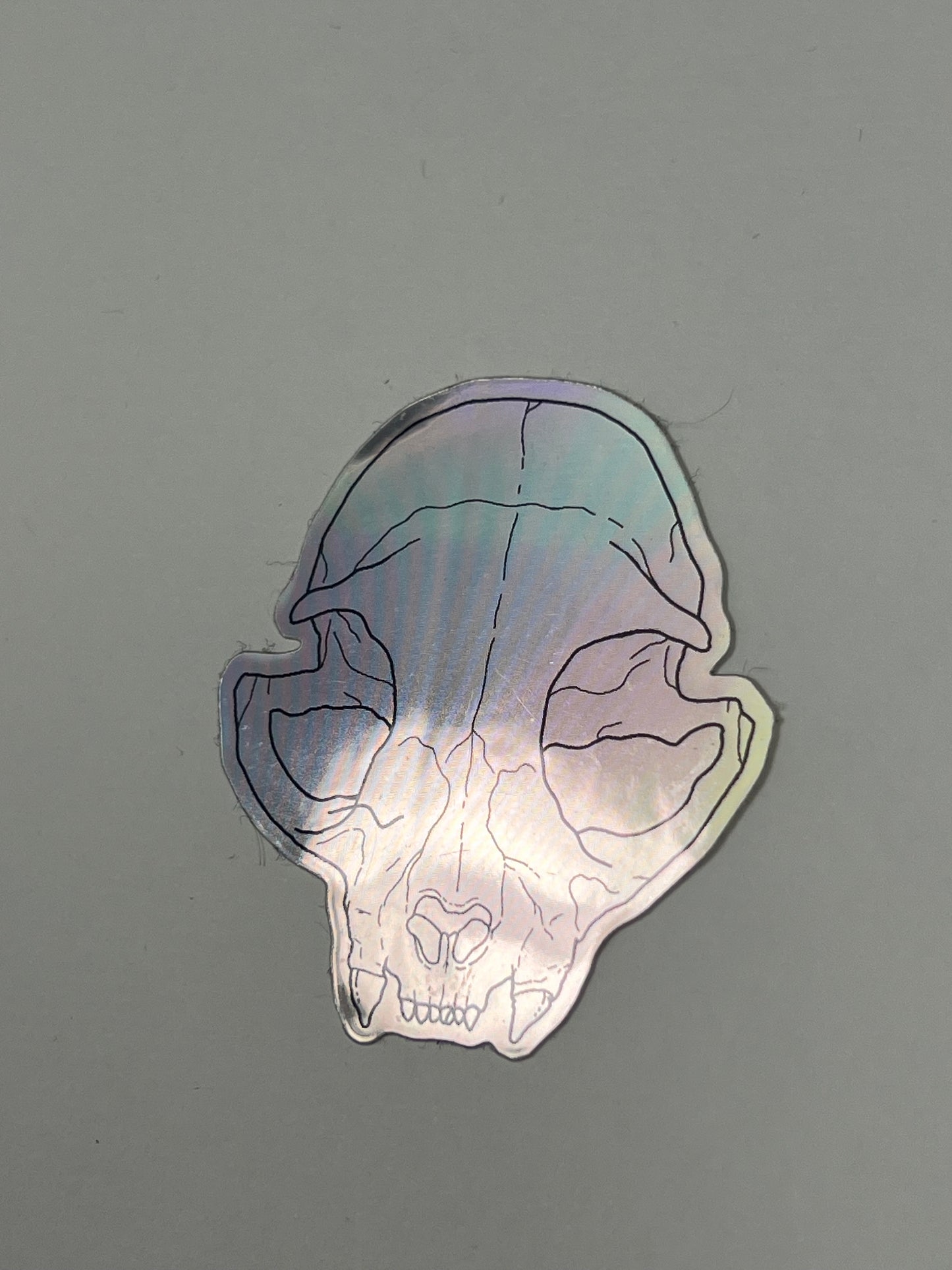 Holographischer Katzenschädel Sticker