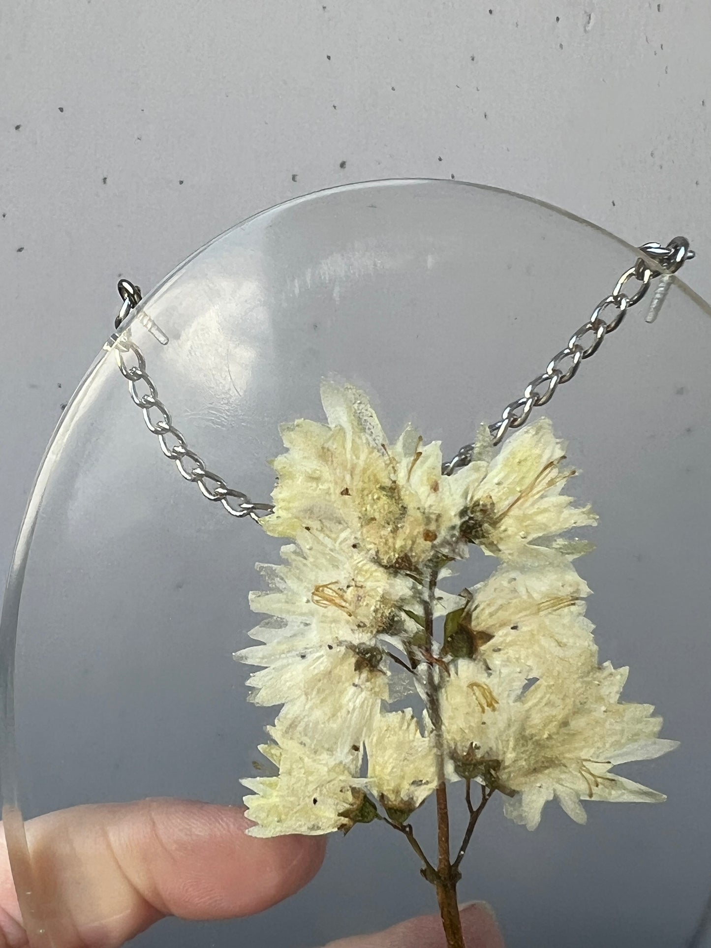 Wandbild mit Wildblume