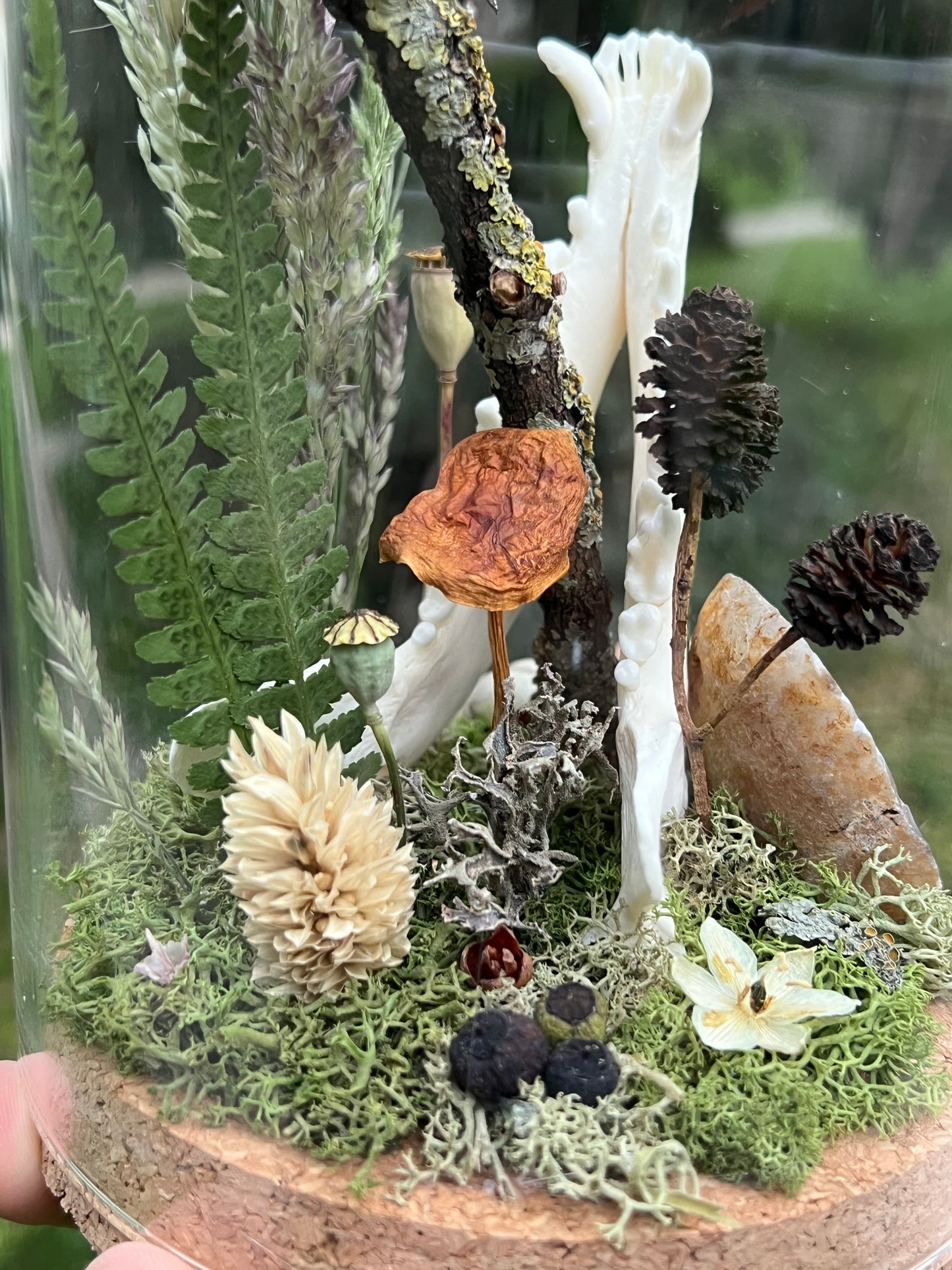 Diorama mit Fuchskiefer, Schmetterling & Achat Geode