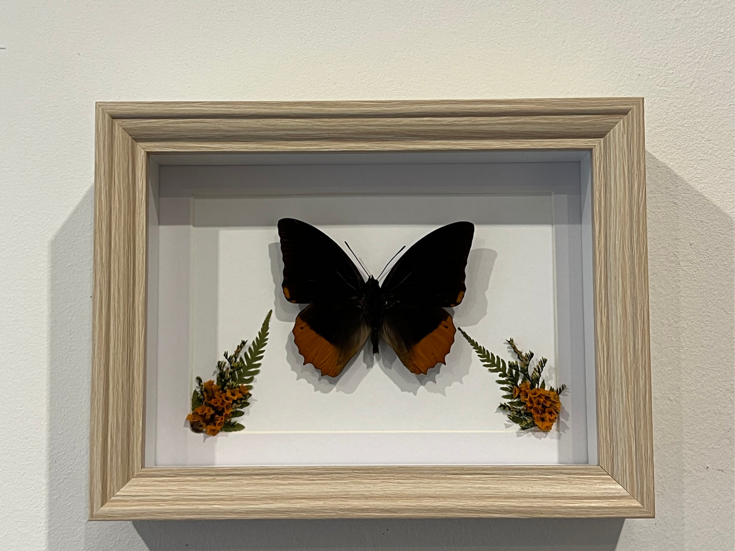 Bilderrahmen mit Flammen-Prachtfalter und Blumen