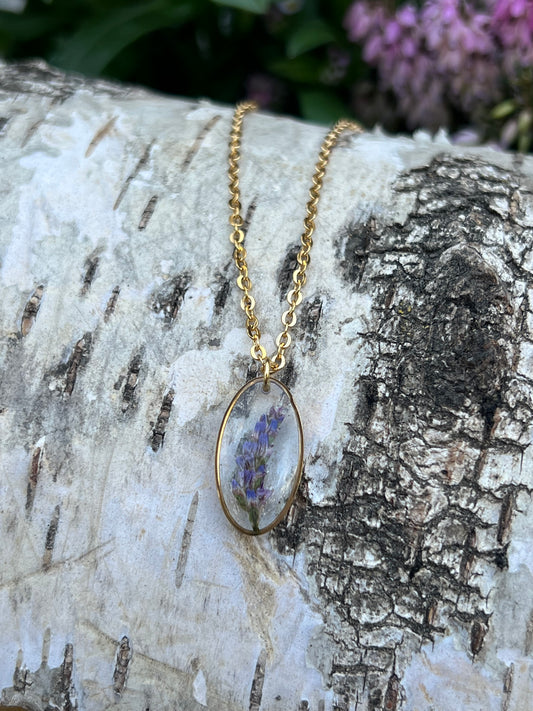 Strandflieder Halskette Gold