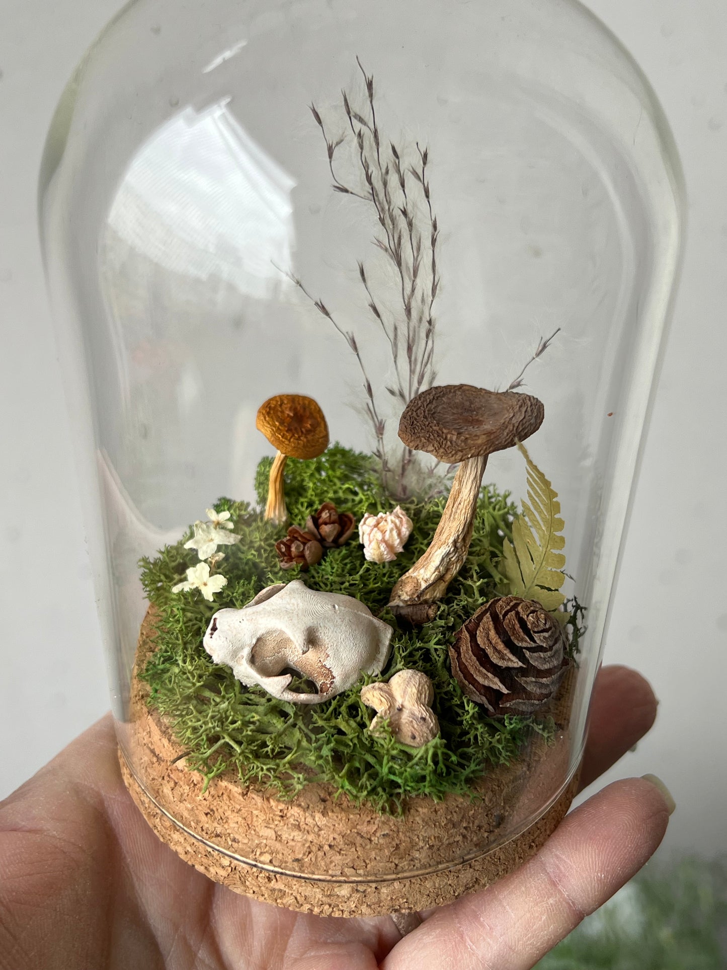 Miniaturwelt mit Katzenschädel und Pilzen