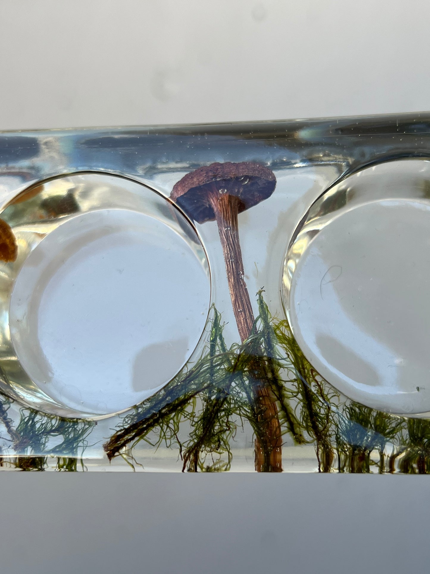 Teelichthalter mit echten Pilzen und Moos 2