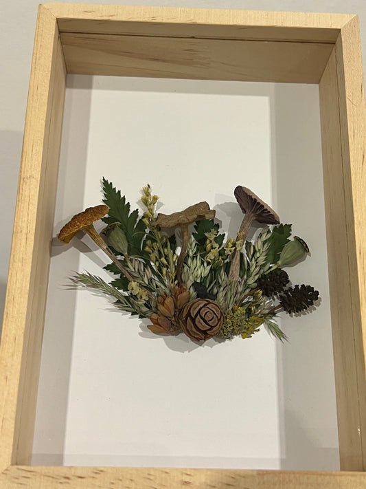 Pilze in Schattenbox