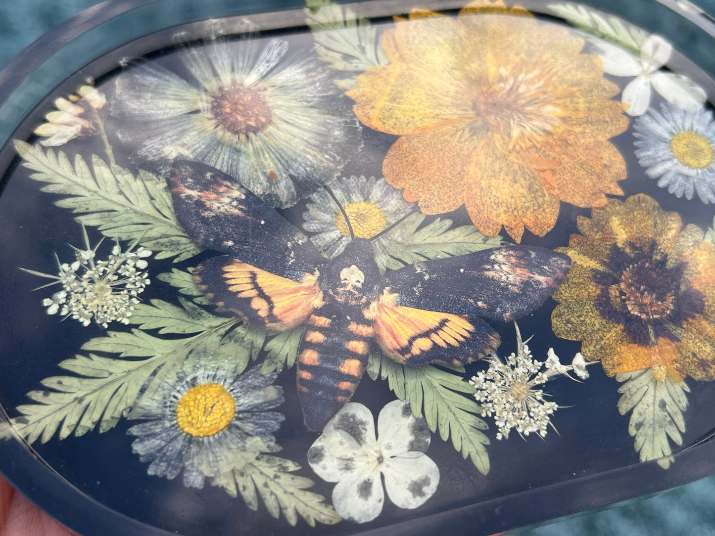 Schale mit Blumen und falscher Totenkopfmotte