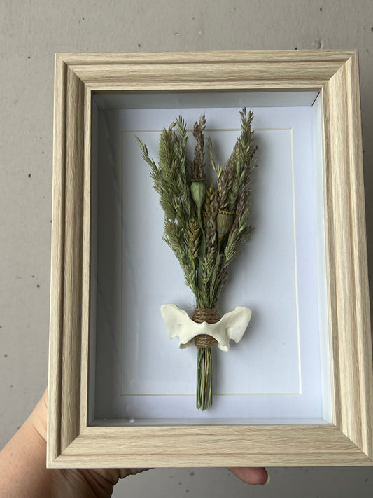 Bilderrahmen mit Fuchswirbel, Gräser und Mohnkapseln